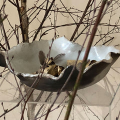 The Alchemy of Earth: Sculptors Transforming Nature into Art