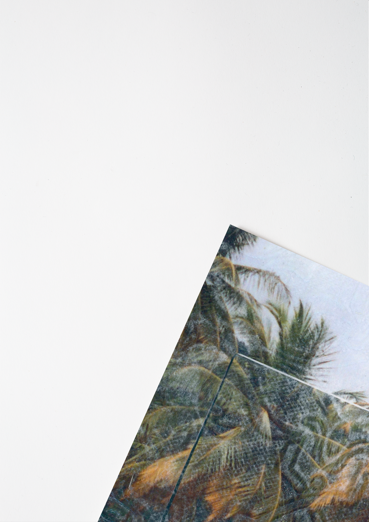 #product_image_5