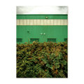#frame_unframed