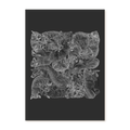 #frame_unframed