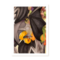 #frame_unframed