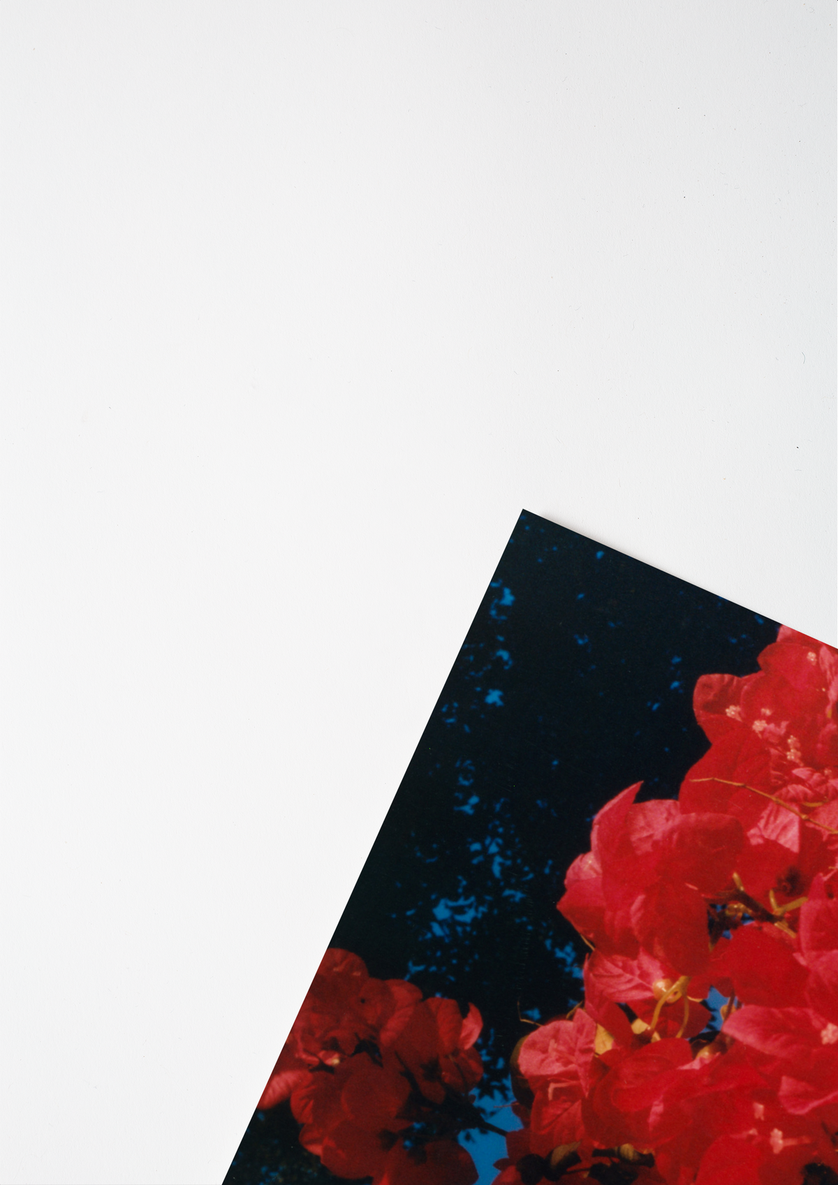 #product_image_5