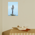 #frame_unframed