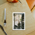 #frame_unframed