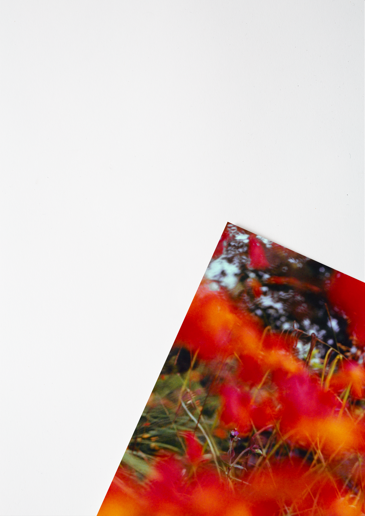 #product_image_5