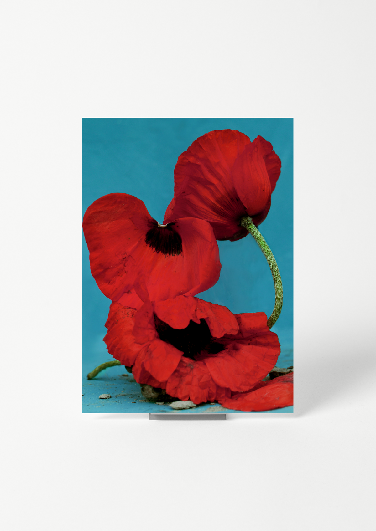 #product_image_2