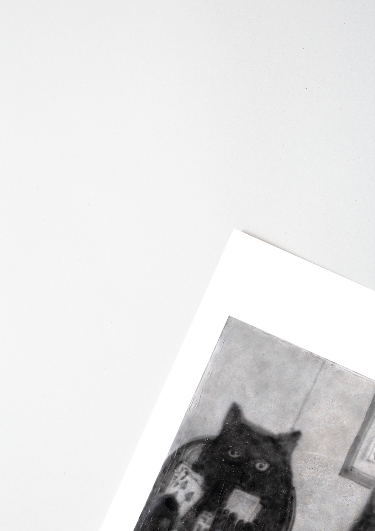 #product_image_5