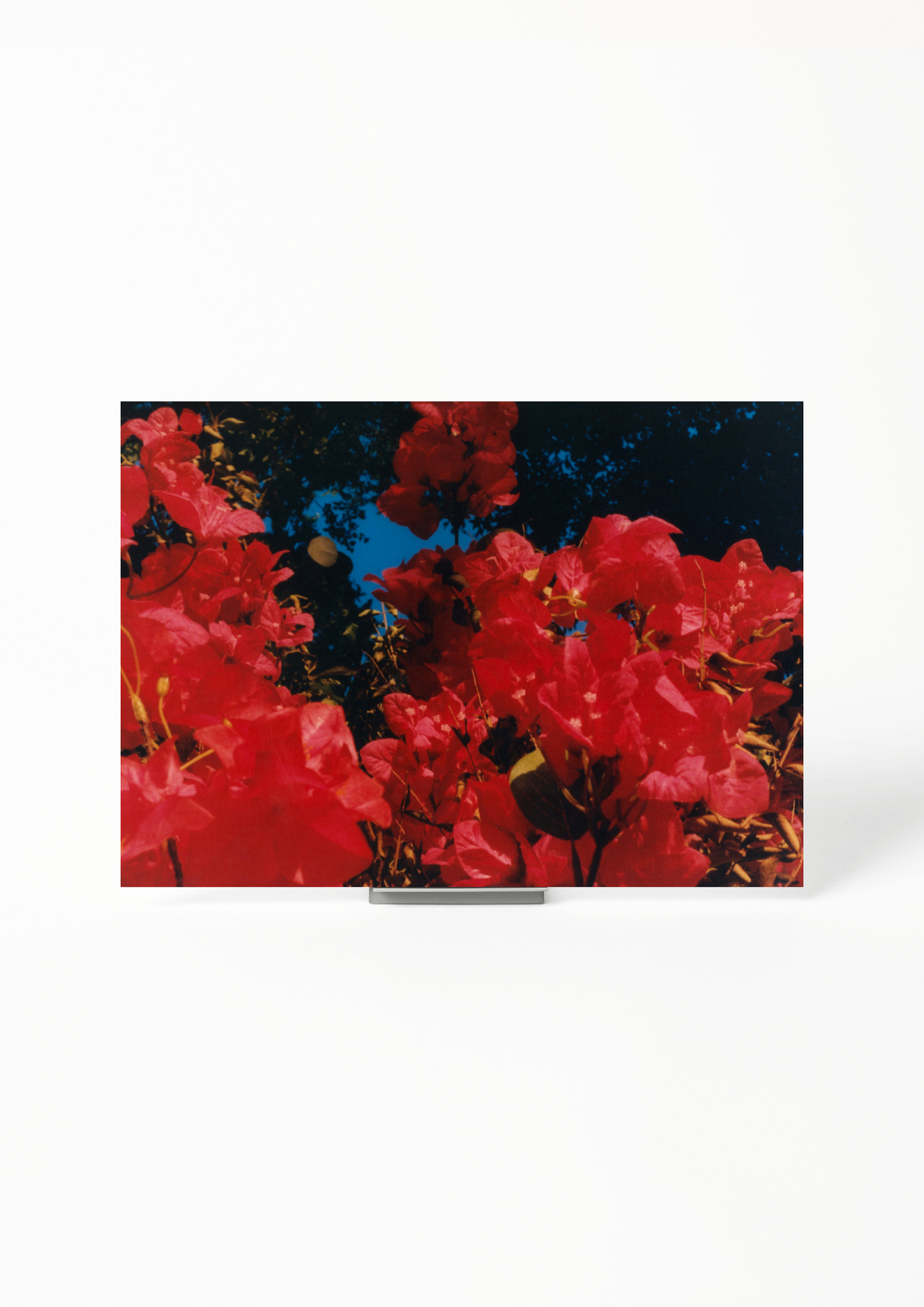 #product_image_2