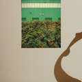 #frame_unframed