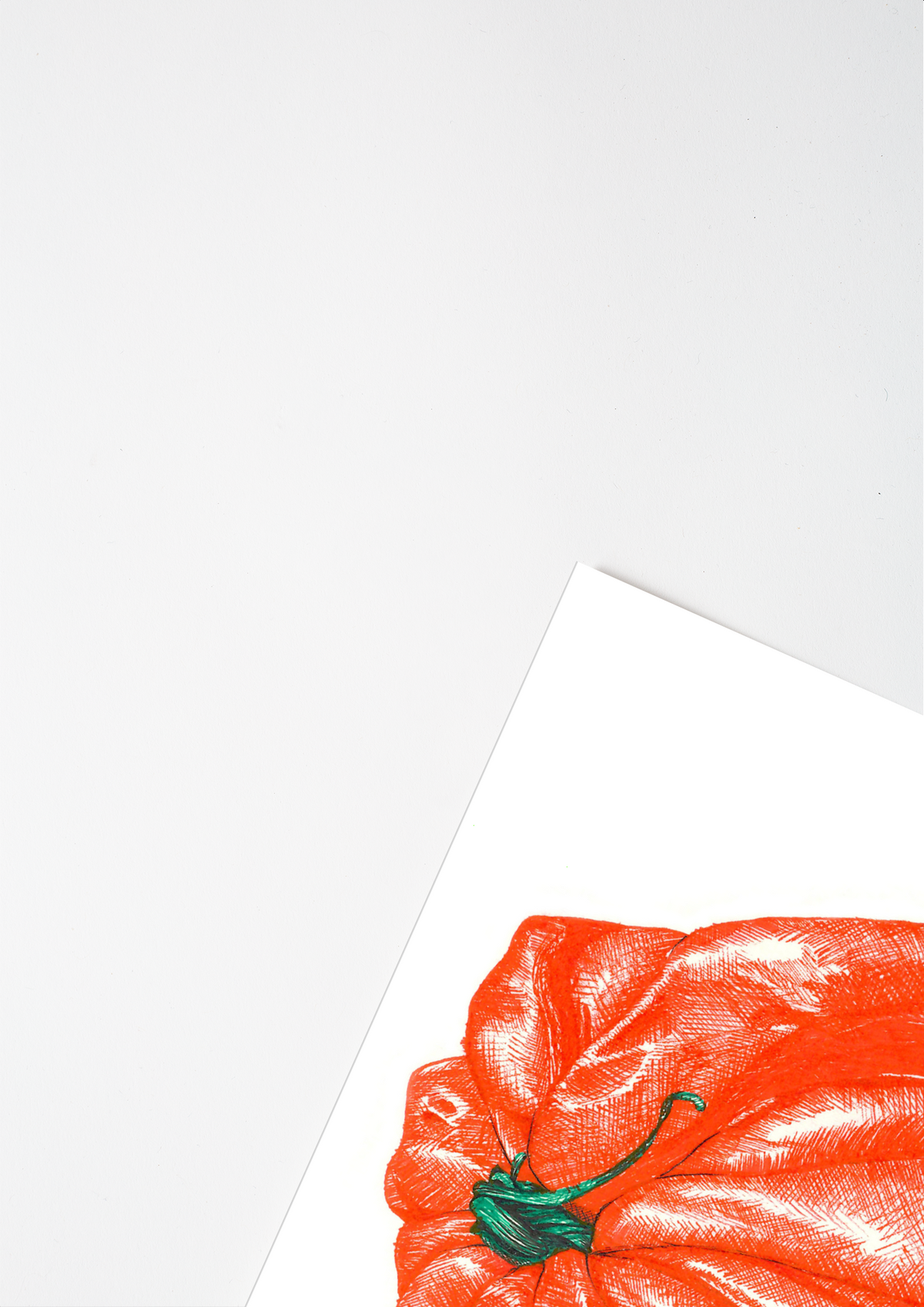 #product_image_5