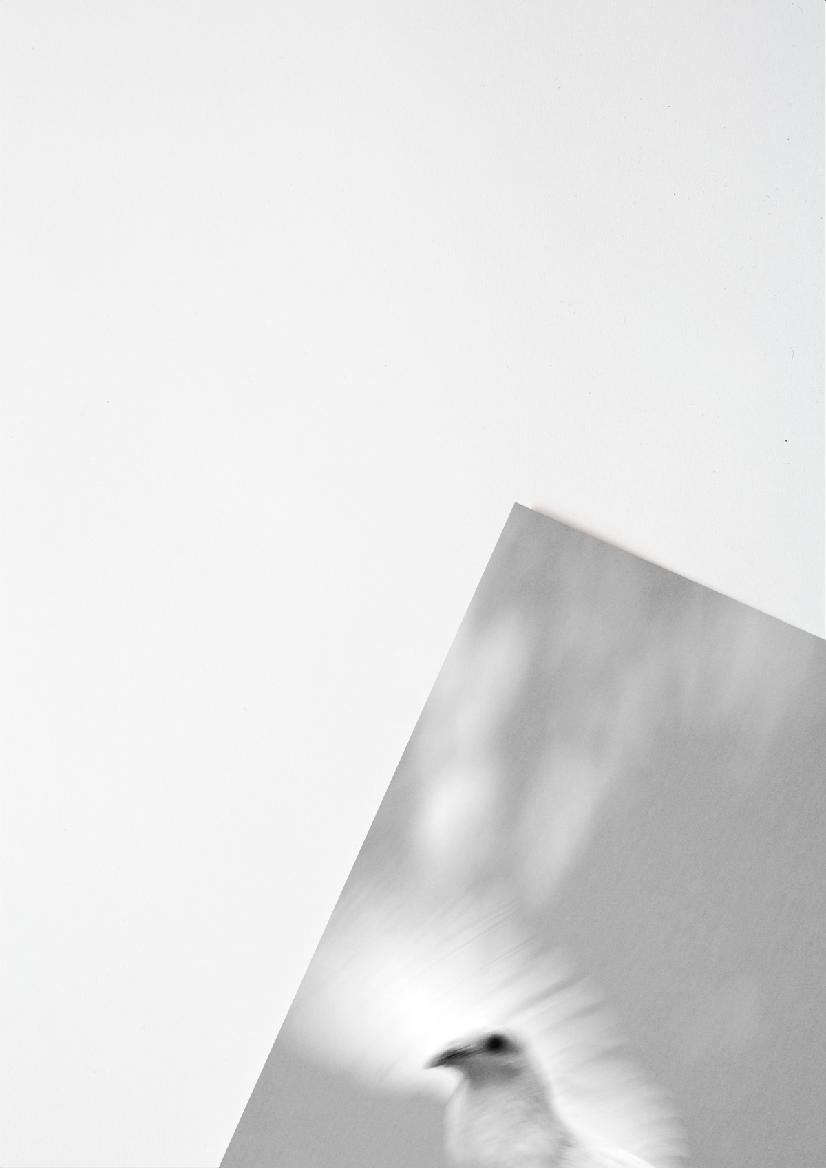 #product_image_5