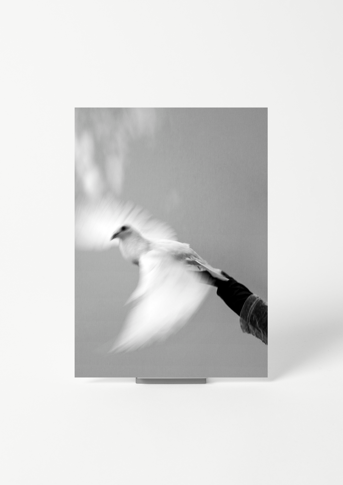 #product_image_2