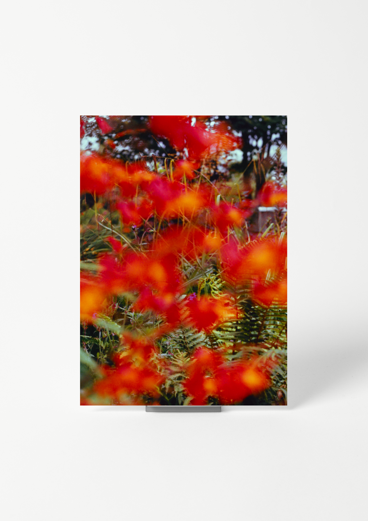 #product_image_2